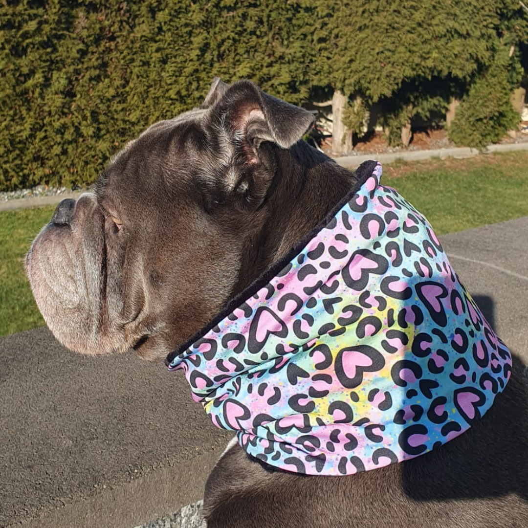 Hunde Halstuch