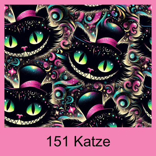 #151 Katze