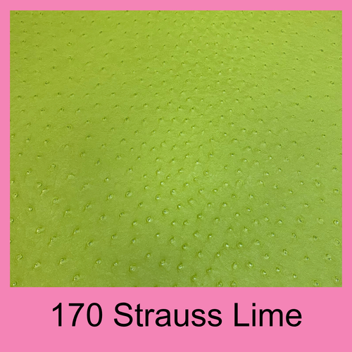 #170 Strauss Lime