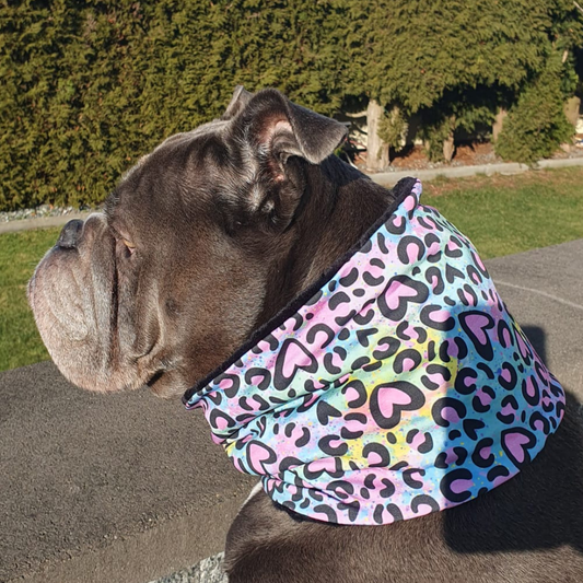 Hunde Halstuch