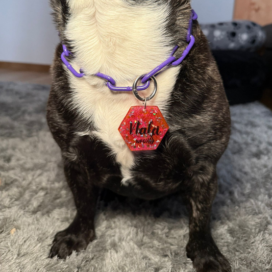 NFC Hundemarke