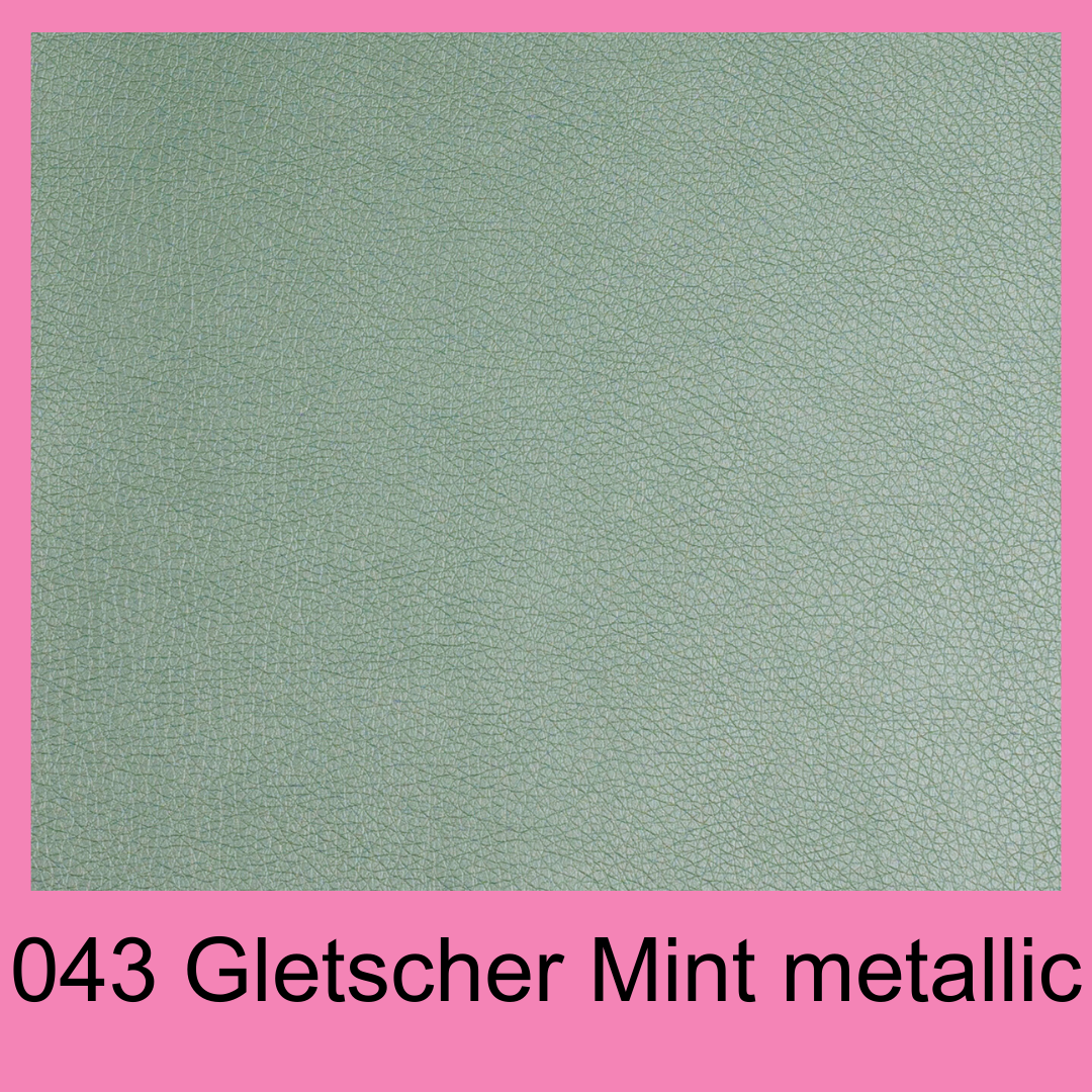 GassiTaschi® Barry #043 Gletscher Mint Metallic Pitbull & Blumen